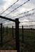 IMG_ (10905)